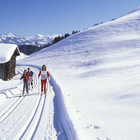 Berglehen 2 Chalet *